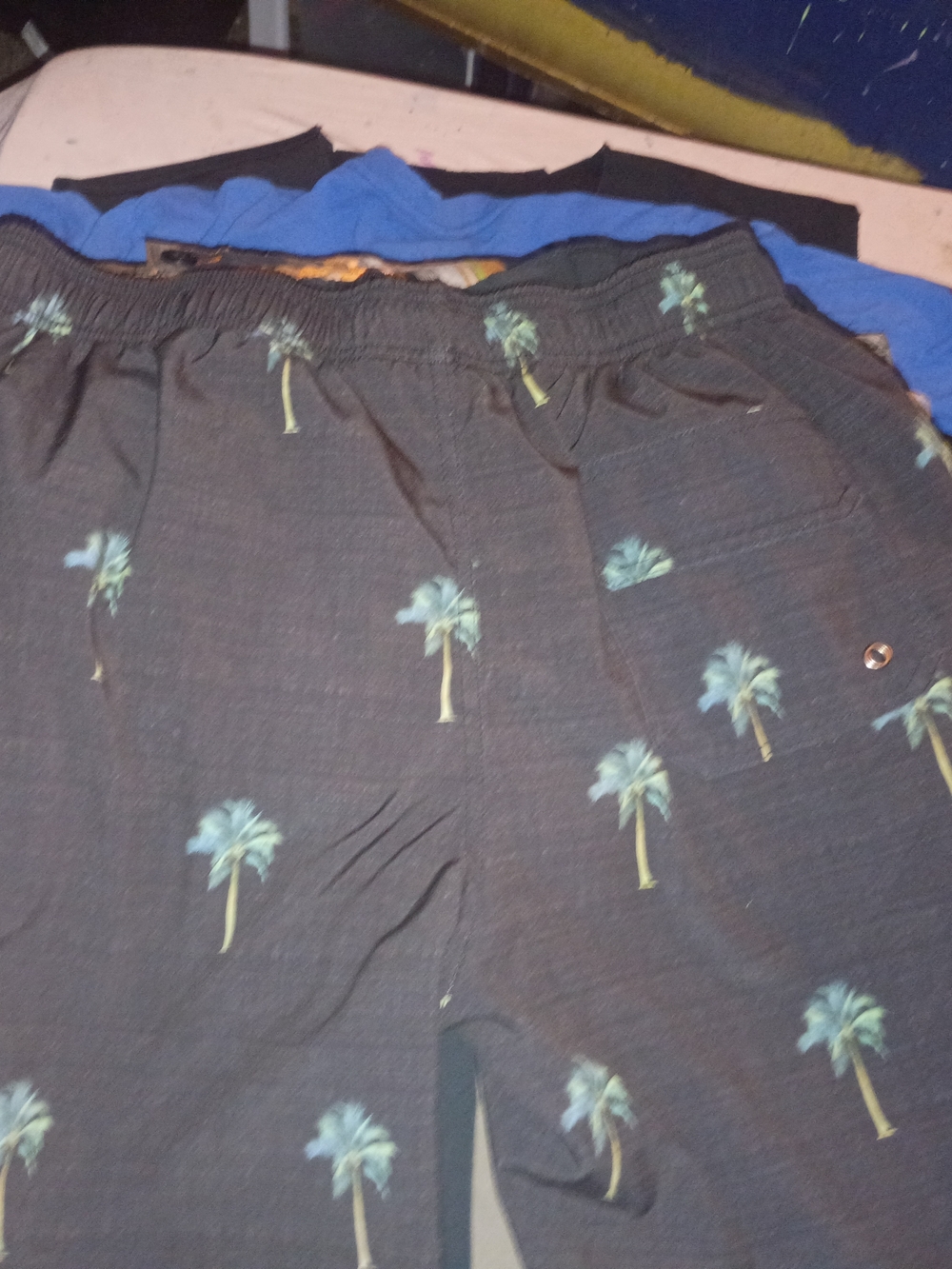 Men's Black Palm-Print Swim Trunks